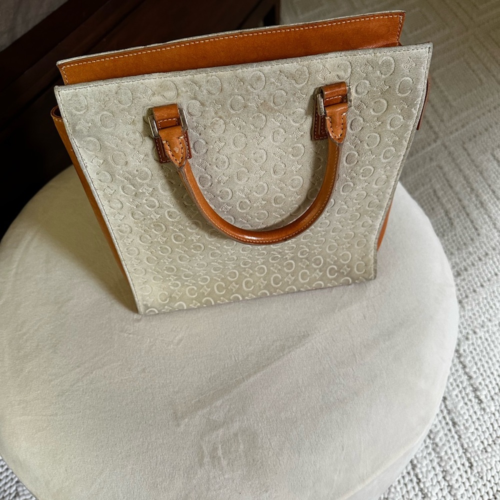 Celine Celadon and Tan suede Tote Bag